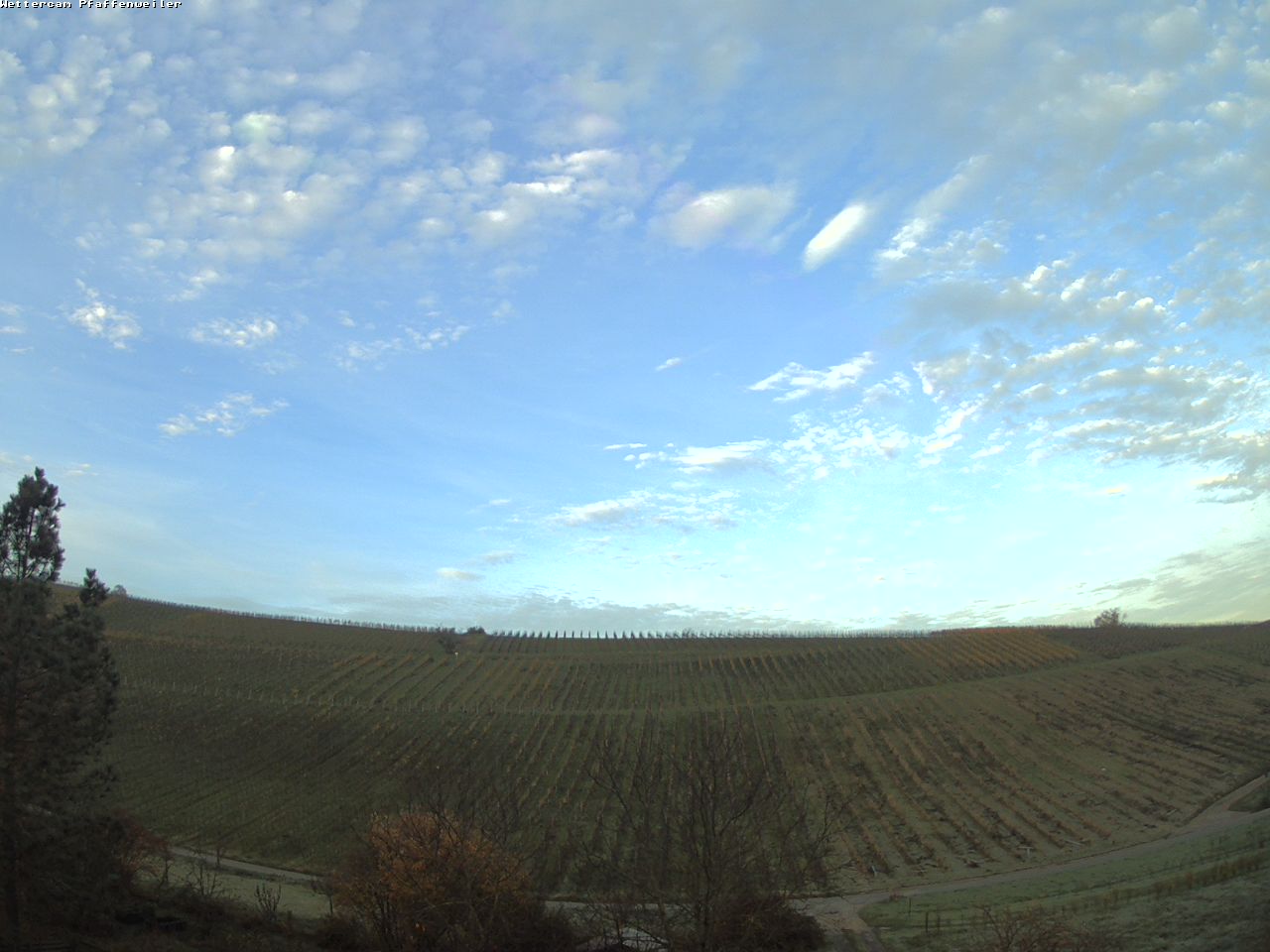Wettercam Pfaffenweiler Blickrichung Westen